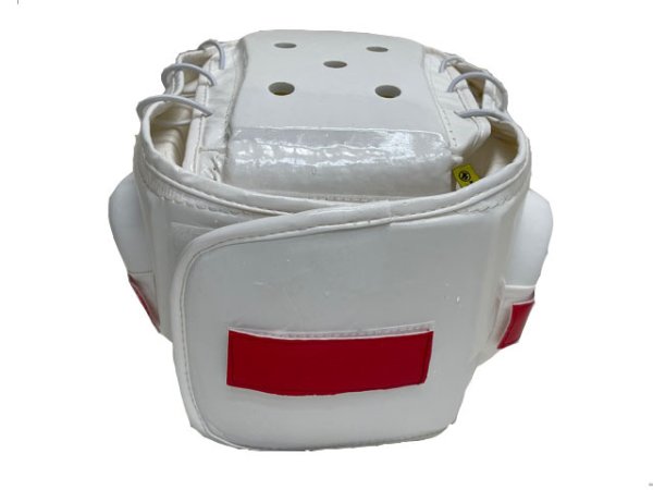 画像6: リアルチャンピオンシップ指定ヘッドガード (6)