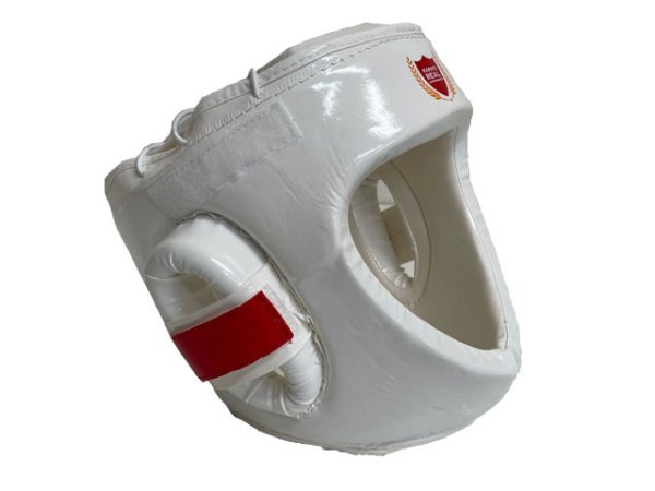 画像3: リアルチャンピオンシップ指定ヘッドガード (3)