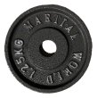 画像1: アイアンプレート1.25kg (1)