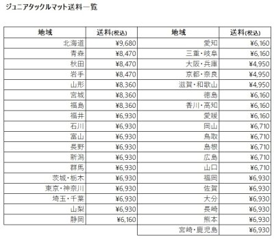 画像1: ジュニアタックルマット