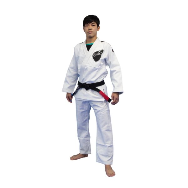 画像5: ALMA 海外製柔術着(白帯付) (5)