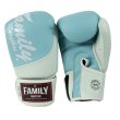画像10: FM Boxing Glove (10)