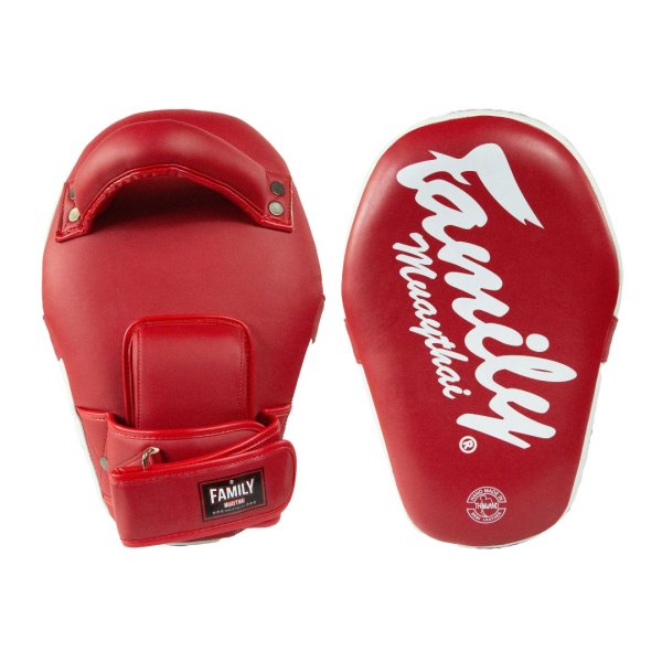画像1: FM Focus Mitt 2 (1)