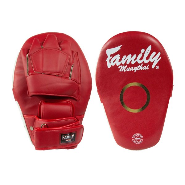 画像1: FM Focus Mitt 1 (1)