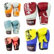 画像1: FM Boxing Glove (1)