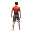 画像13: ALMA Fight shorts THUNDER (13)