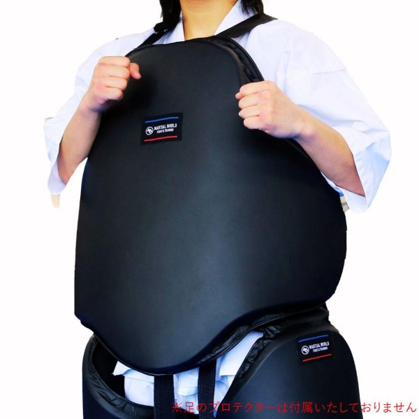 画像1: プロ仕様コーチングプロテクター (1)