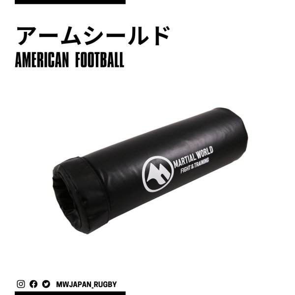 画像1: アームシールド (1)