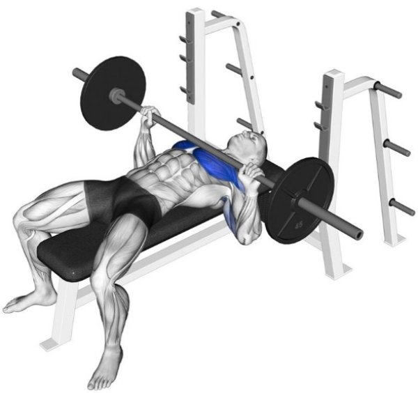 画像2: ベンチプレス スクワットコンボ (2)