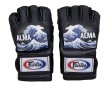 画像1: Fairtex ALMA MMA Gloves		 (1)
