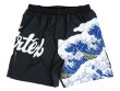 画像2: Fairtex ALMA MMA Shorts (2)
