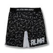 画像6: ALMA Fight shorts THUNDER (6)