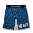 画像7: ALMA Fight shorts THUNDER (7)