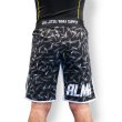 画像2: ALMA Fight shorts THUNDER (2)