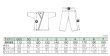 画像2: 伝統型　形・組手兼用空手着 (白帯付) (2)