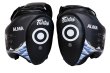 画像1: Fairtex ALMA Thigh Pads (1)